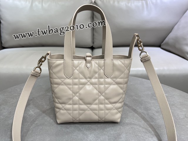 Dior专柜2025新款迪奥高仿原单Toujours竖版手袋牛皮休闲手提女包 djfk1298